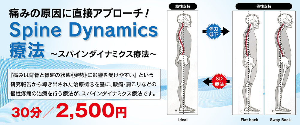 spine dynamics療法